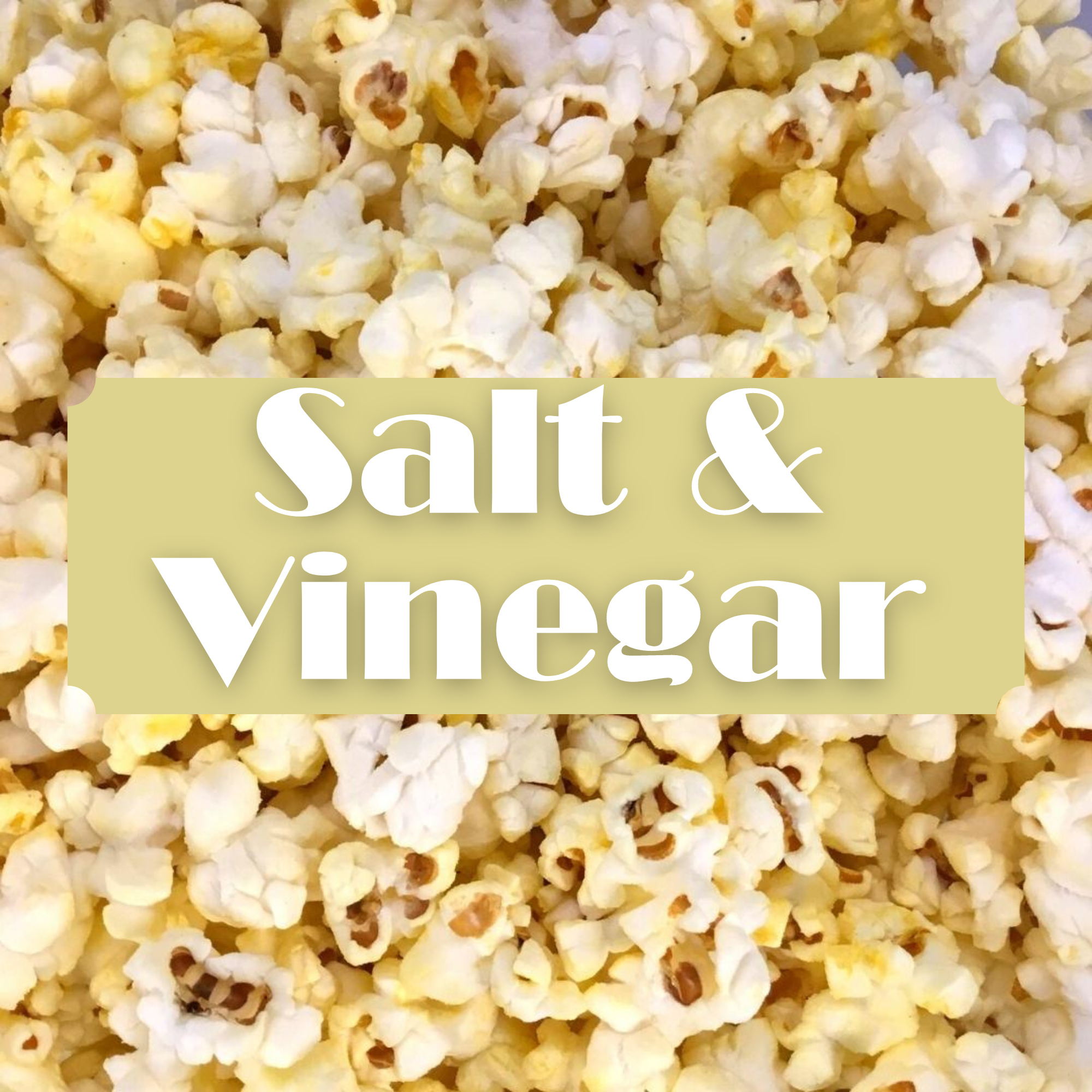 Salt N Vinegar Popcorn Small Bags - Case of 16 (2.39ea)